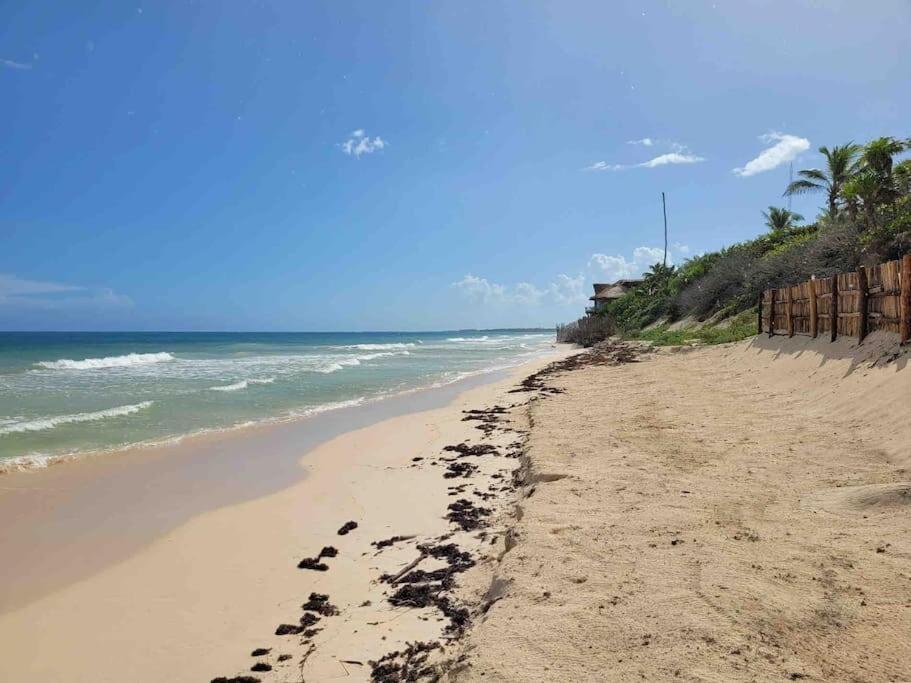 Luxury 5-Br Beachfront Home In Tulum Casa Sofia Gato Extérieur photo